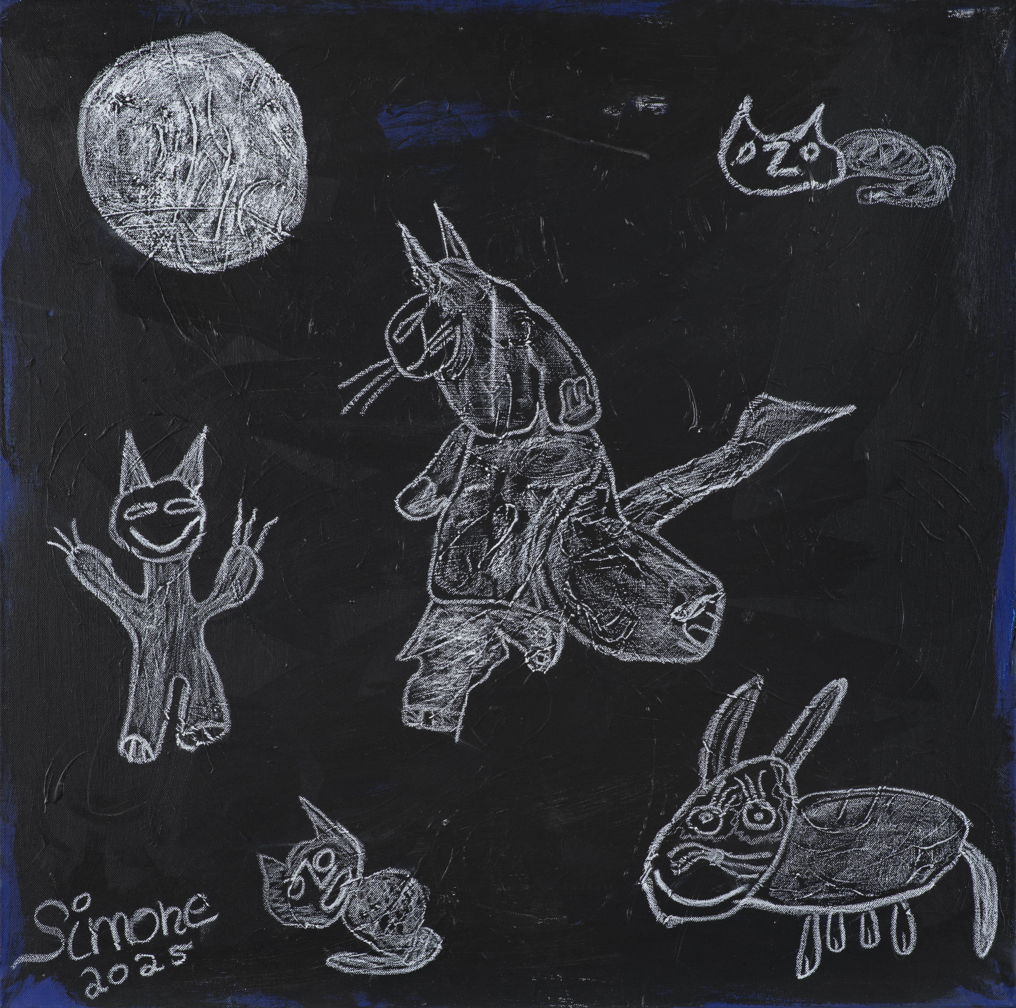 Black and white cat by Simone Lieber