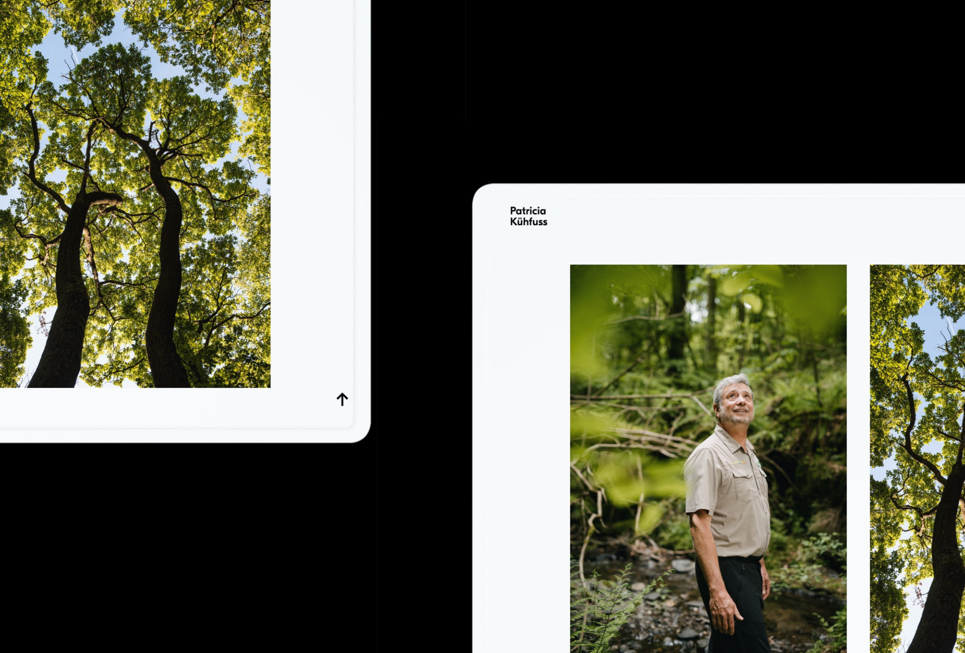 Patricia Kühfuss website layout